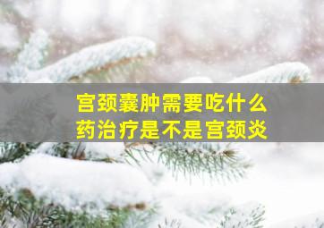 宫颈囊肿需要吃什么药治疗是不是宫颈炎