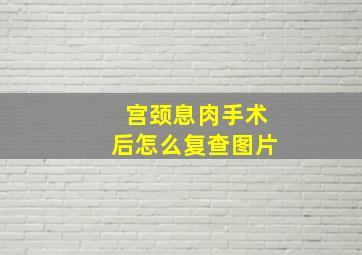 宫颈息肉手术后怎么复查图片