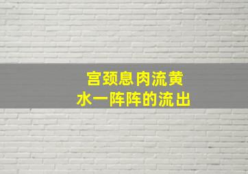 宫颈息肉流黄水一阵阵的流出