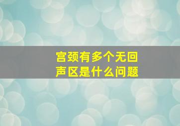 宫颈有多个无回声区是什么问题