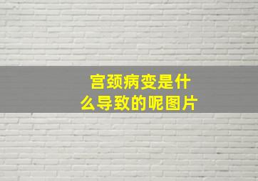 宫颈病变是什么导致的呢图片