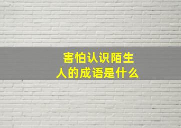 害怕认识陌生人的成语是什么