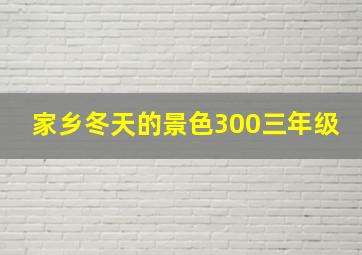 家乡冬天的景色300三年级