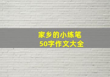 家乡的小练笔50字作文大全