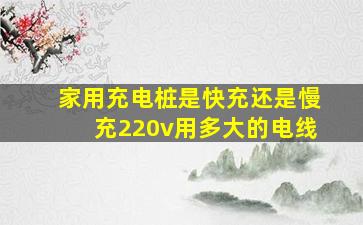 家用充电桩是快充还是慢充220v用多大的电线