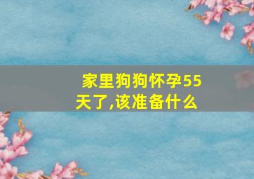 家里狗狗怀孕55天了,该准备什么