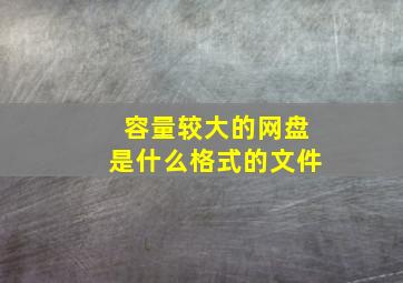 容量较大的网盘是什么格式的文件