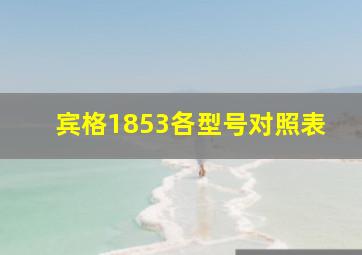 宾格1853各型号对照表