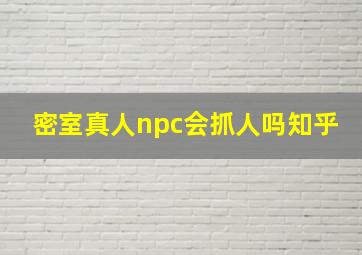 密室真人npc会抓人吗知乎