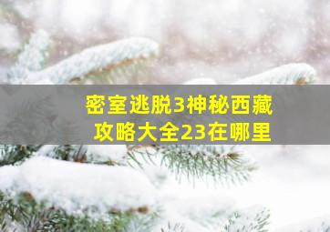 密室逃脱3神秘西藏攻略大全23在哪里