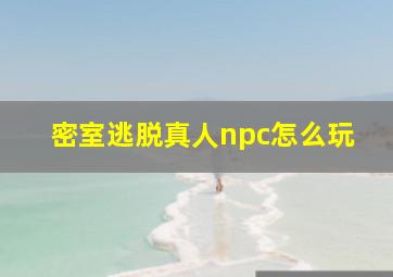 密室逃脱真人npc怎么玩