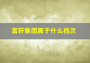 富轩集团属于什么档次