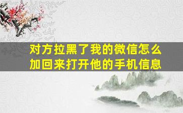 对方拉黑了我的微信怎么加回来打开他的手机信息