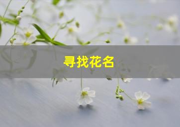 寻找花名