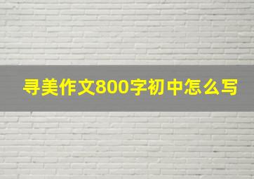 寻美作文800字初中怎么写