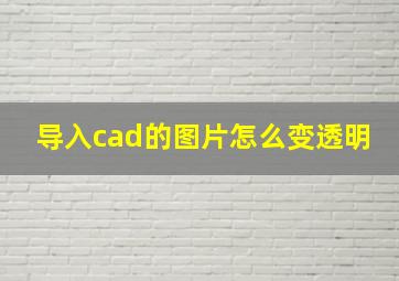 导入cad的图片怎么变透明