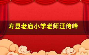 寿县老庙小学老师汪传峰