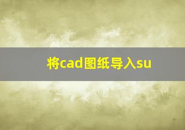 将cad图纸导入su