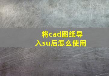 将cad图纸导入su后怎么使用