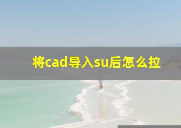 将cad导入su后怎么拉