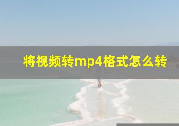 将视频转mp4格式怎么转