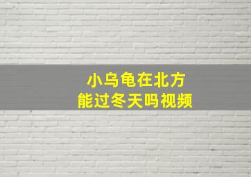 小乌龟在北方能过冬天吗视频