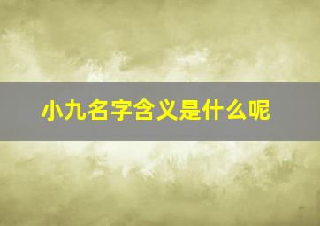 小九名字含义是什么呢