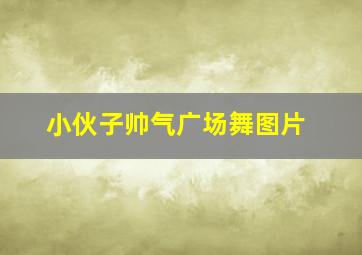 小伙子帅气广场舞图片