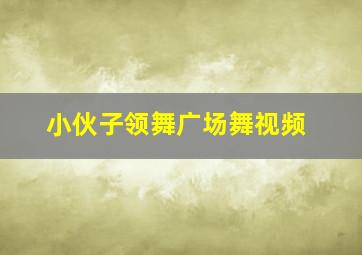 小伙子领舞广场舞视频