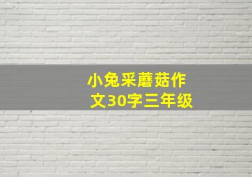 小兔采蘑菇作文30字三年级