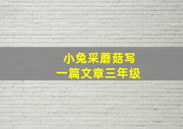 小兔采蘑菇写一篇文章三年级