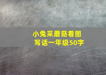 小兔采蘑菇看图写话一年级50字