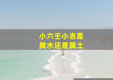 小六壬小吉是属水还是属土