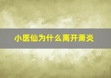 小医仙为什么离开萧炎