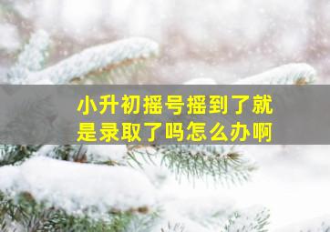 小升初摇号摇到了就是录取了吗怎么办啊