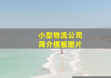 小型物流公司简介模板图片