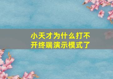 小天才为什么打不开终端演示模式了