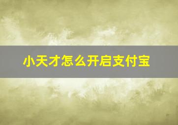 小天才怎么开启支付宝