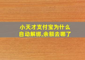 小天才支付宝为什么自动解绑,余额去哪了