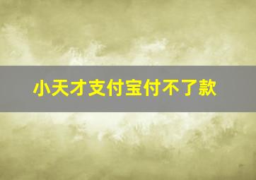 小天才支付宝付不了款