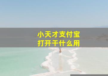 小天才支付宝打开干什么用