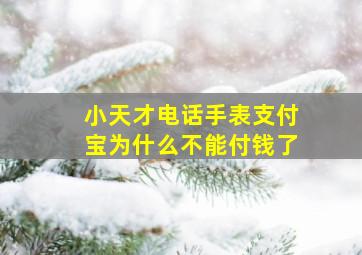 小天才电话手表支付宝为什么不能付钱了