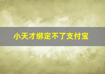 小天才绑定不了支付宝