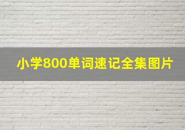 小学800单词速记全集图片