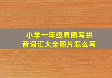 小学一年级看图写拼音词汇大全图片怎么写