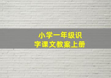 小学一年级识字课文教案上册