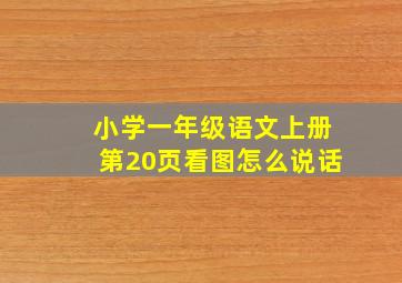 小学一年级语文上册第20页看图怎么说话