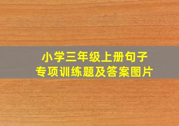 小学三年级上册句子专项训练题及答案图片