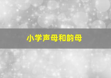 小学声母和韵母