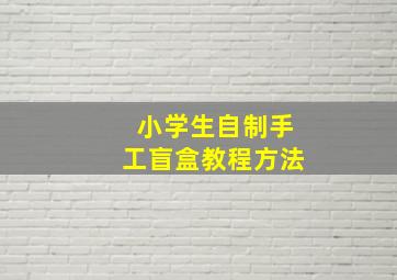 小学生自制手工盲盒教程方法